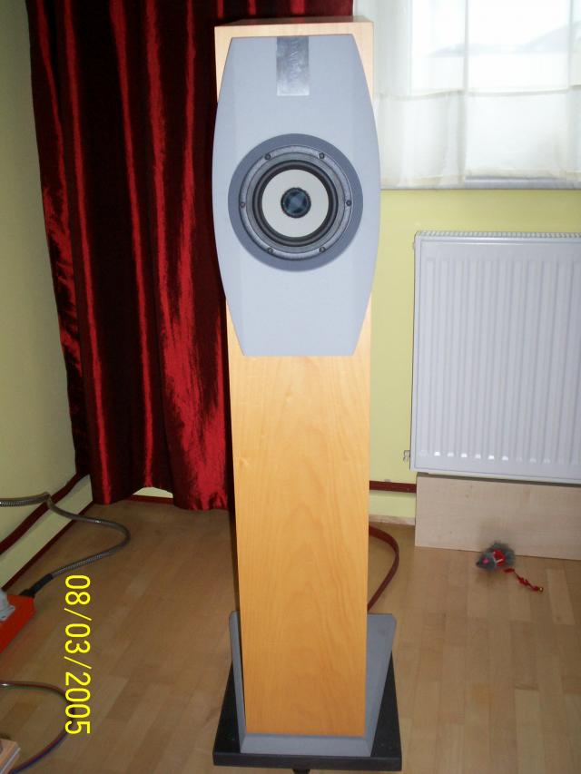 005.JPG