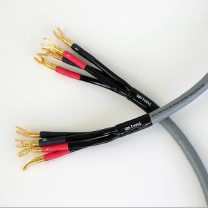 RSCPrime1000Bi-Wirepbbigweb.jpg